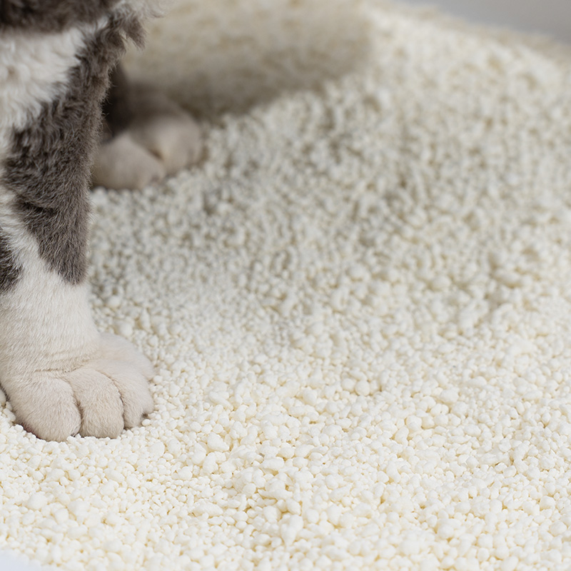 Sicherheit, Vor- und Nachteile von Maisstreu und die besten Alternativen für Katzenbesitzer