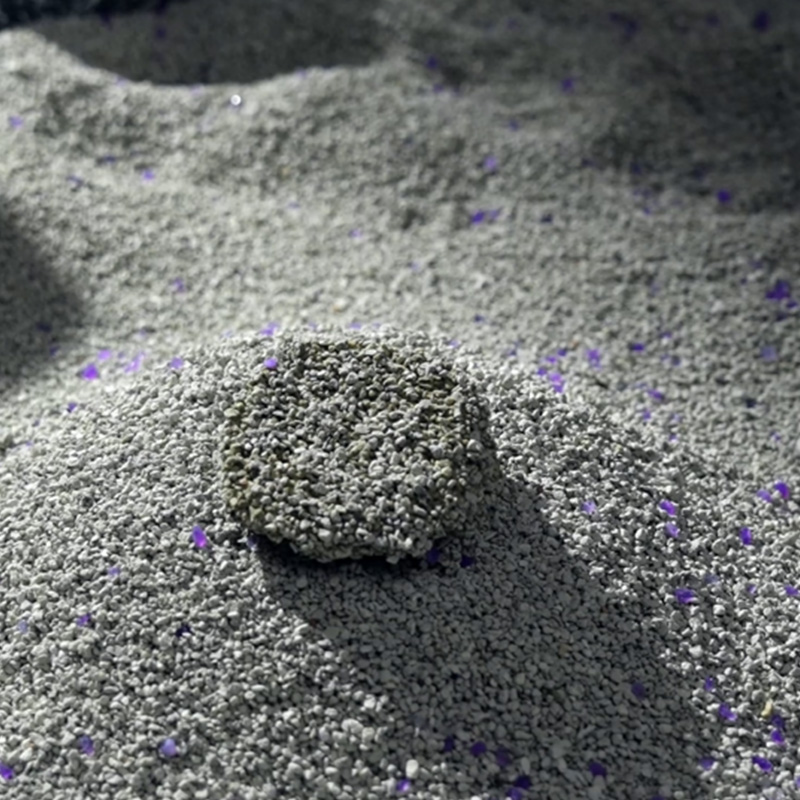 Auswahl des besten mineralischen Katzenstreus: Praktische Tipps für ein saubereres Zuhause