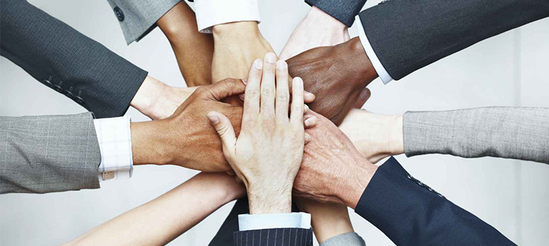 Aufrichtige Haustierprodukte Co., Ltd.